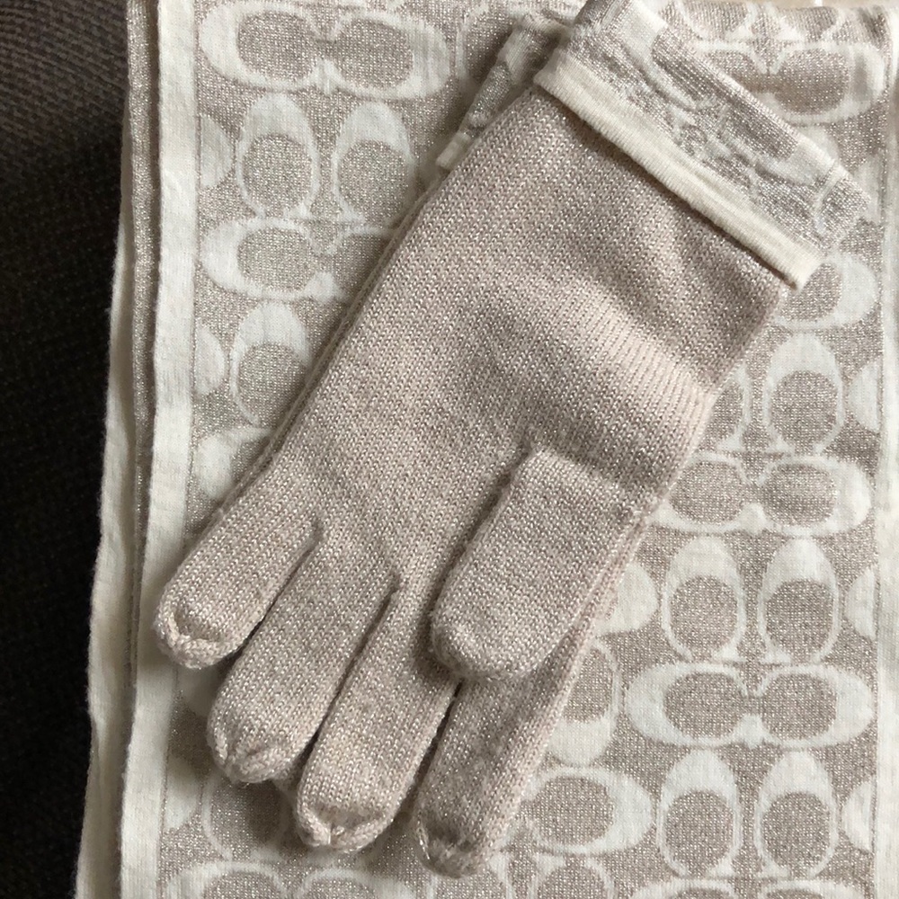 Coach scarf and Gloves